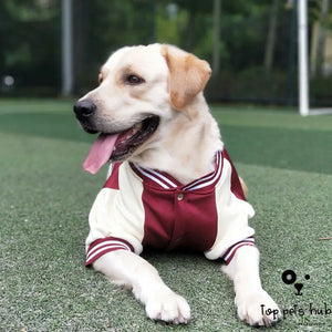 Baseball Uniform Pet Clothing Medium Large Dog Golden