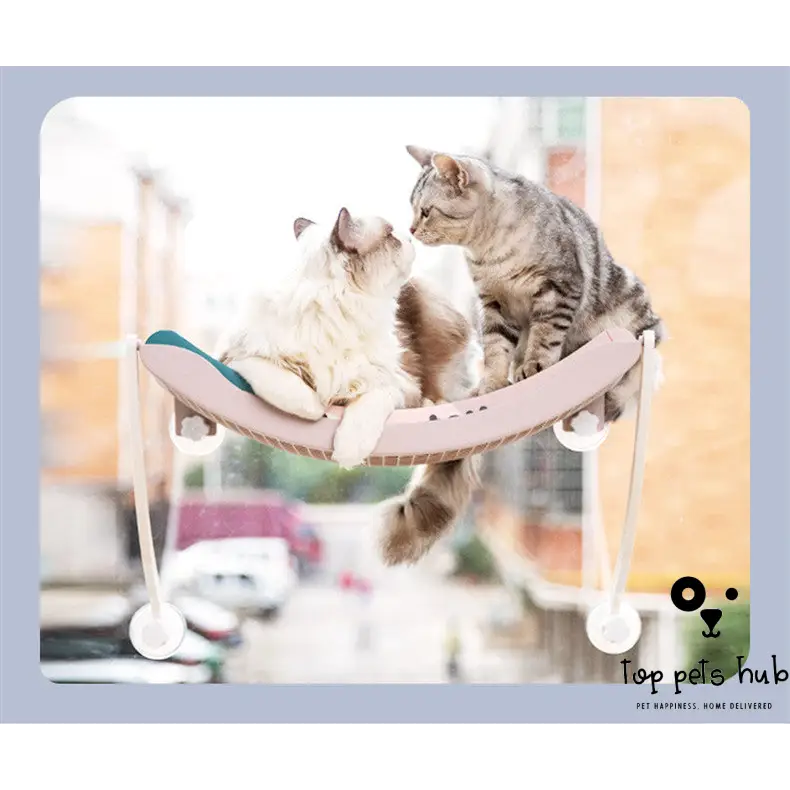 Hanging Cat Hammock for Basking in the Sun