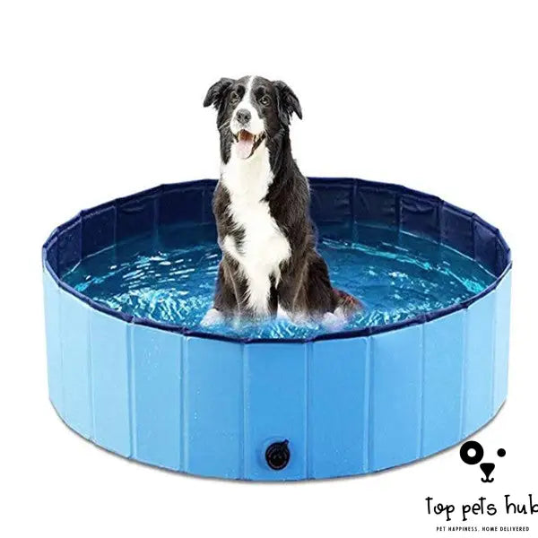 Foldable Dog Swimming Pool