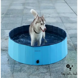 Foldable Dog Swimming Pool