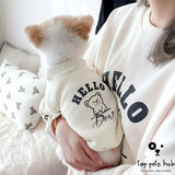 Stylish Bear Print Dog Sweater