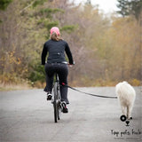 Detachable Dog Walker