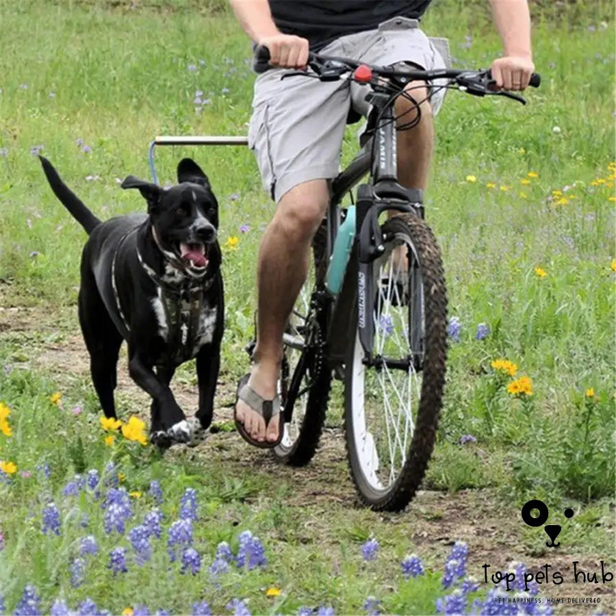 Detachable Dog Walker