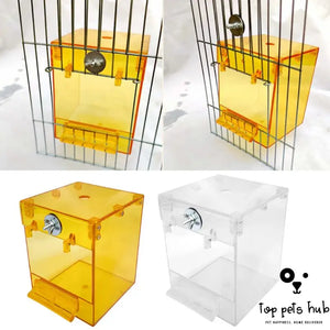 External Transparent Bird Bath