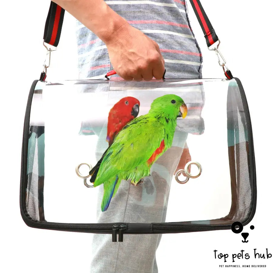 Transparent Bird Cage