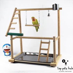 Bird Training Stand