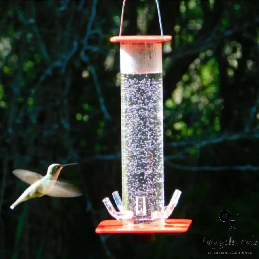 Hanging Bird Feeder