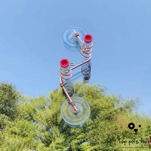 Hummingbird Feeder with Suction Cup