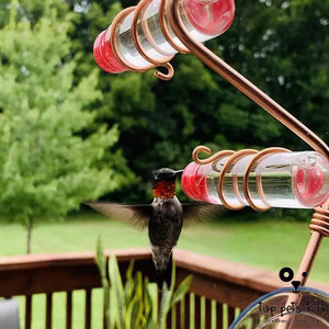 Hummingbird Feeder with Suction Cup