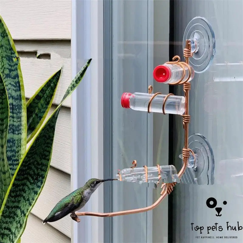 Hummingbird Feeder with Suction Cup