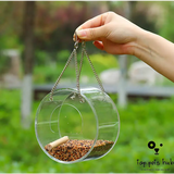 Acrylic Bird Food Box