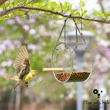 Acrylic Bird Food Box