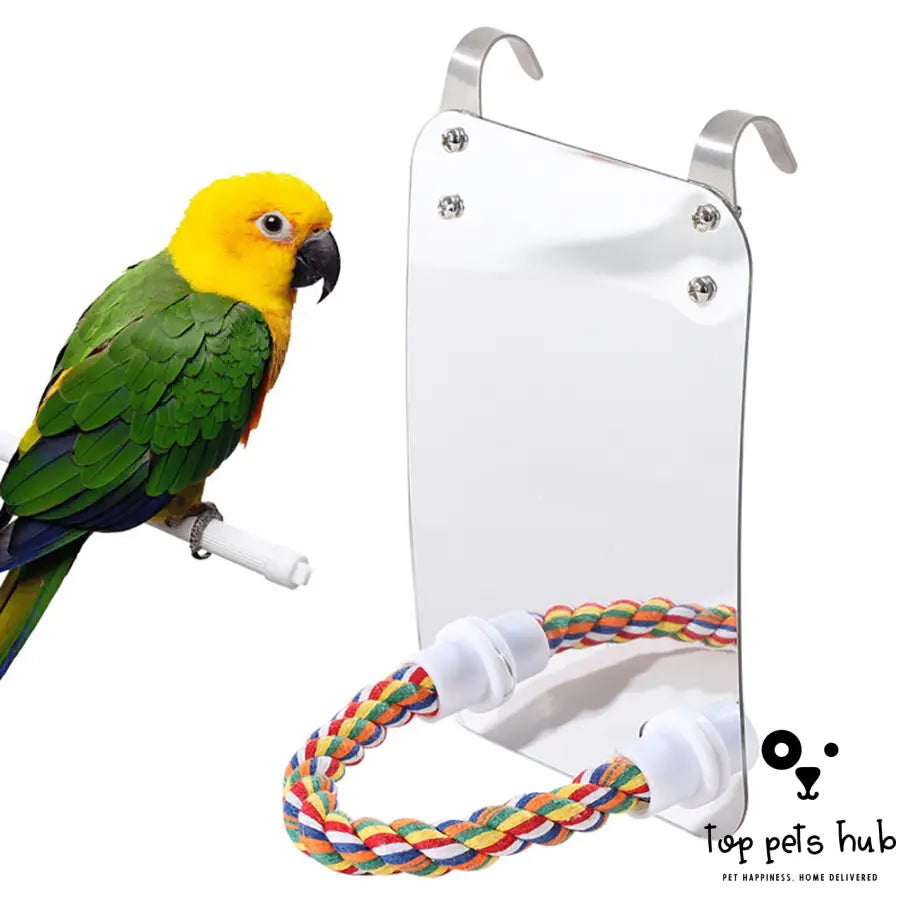 Acrylic Bird Toy with Mirror