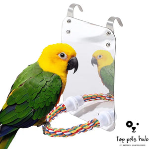 Acrylic Bird Toy with Mirror
