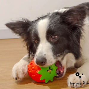 Teeth Cleaning Dog Toy Ball