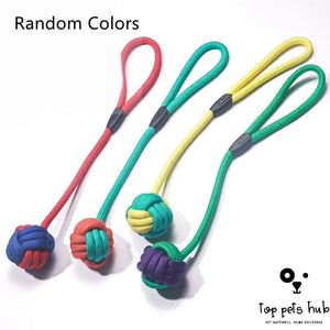 Dental Rope Knot Dog Toy Set