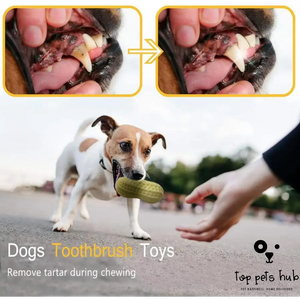 Funny Squeaky Dog Toy