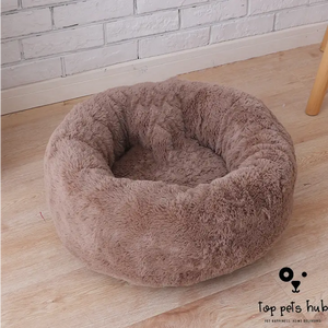 Cozy Pet Bed and Blanket