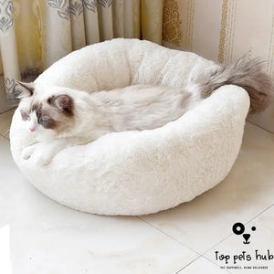 Cozy Pet Bed and Blanket