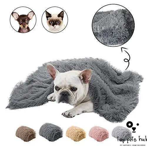 Double Plush Pet Mat and Blanket