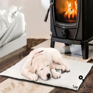 Self-Heating Pet Blanket