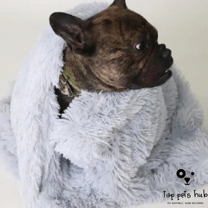 Cozy Blankets for Pet Dogs and Cats