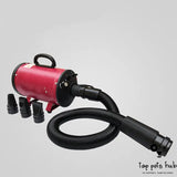 2800W Power Pet Hair Dryer for Dogs and Cats