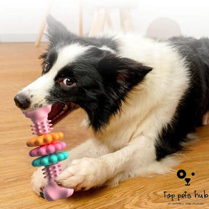 ToughBone Indestructible Dog Chew Toy