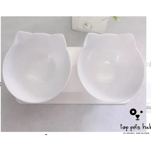 CerviGuard Cat Double Bowl for Cervical Vertebra Protection