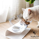 CerviSafe Non-Slip Double Cat Bowl with Raised Stand
