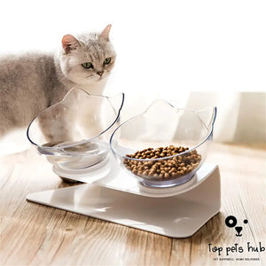 CerviSafe Non-Slip Double Cat Bowl with Raised Stand