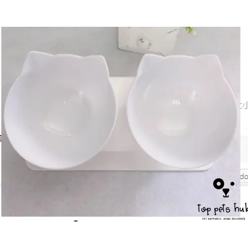 CerviSafe Non-Slip Double Cat Bowl with Raised Stand