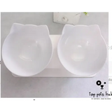 CerviSafe Non-Slip Double Cat Bowl with Raised Stand