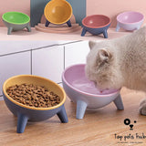 NordicFeed Cat and Dog Bowl with Stand