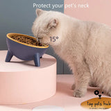 NordicFeed Cat and Dog Bowl with Stand