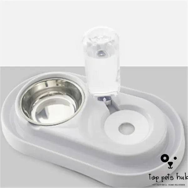 ChewTreat Dog Bowl