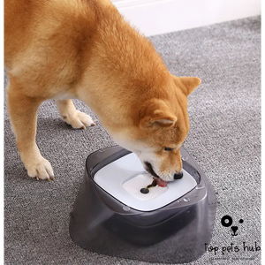 SplashGuard Pet Bowl