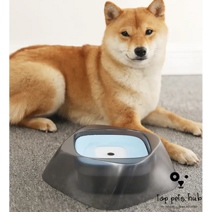 SplashGuard Pet Bowl