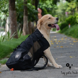 Breathable Pet Backpack