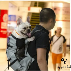 Breathable Pet Backpack