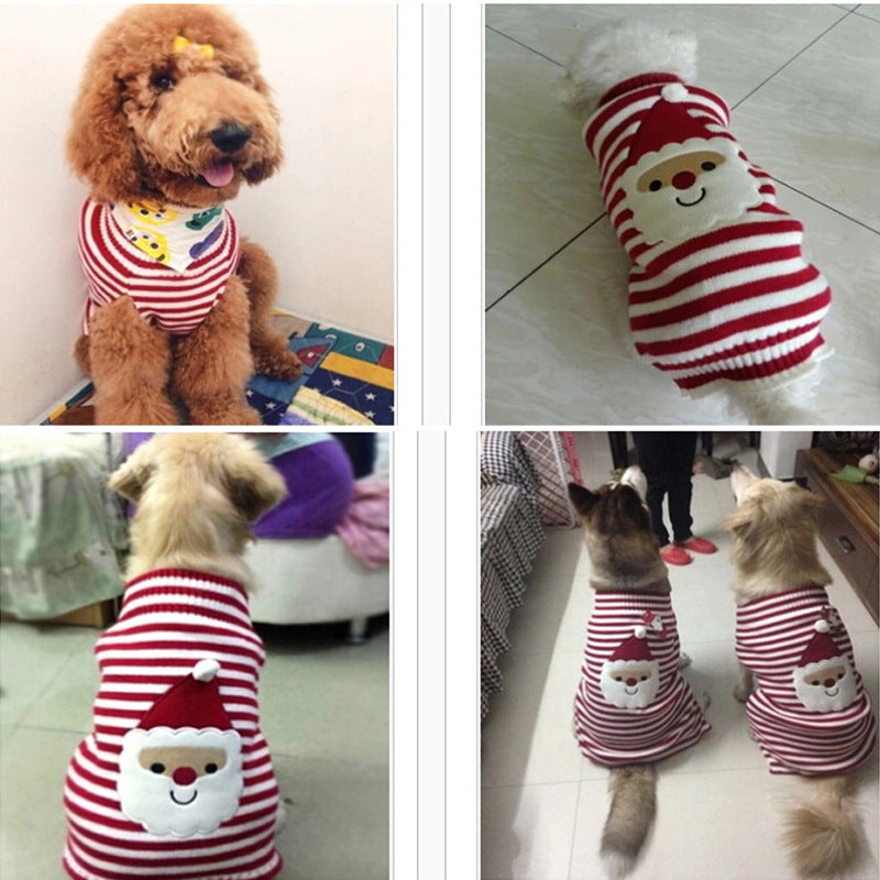 Christmas Sweater for Dogs of All Sizes