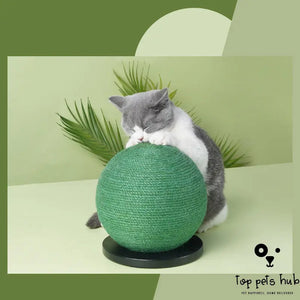 Cactus Shape Cat Scratching Toy