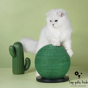 Cactus Shape Cat Scratching Toy