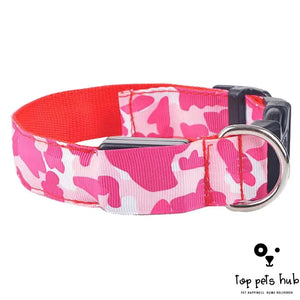 StealthyPaws Camouflage Luminous Dog Collar