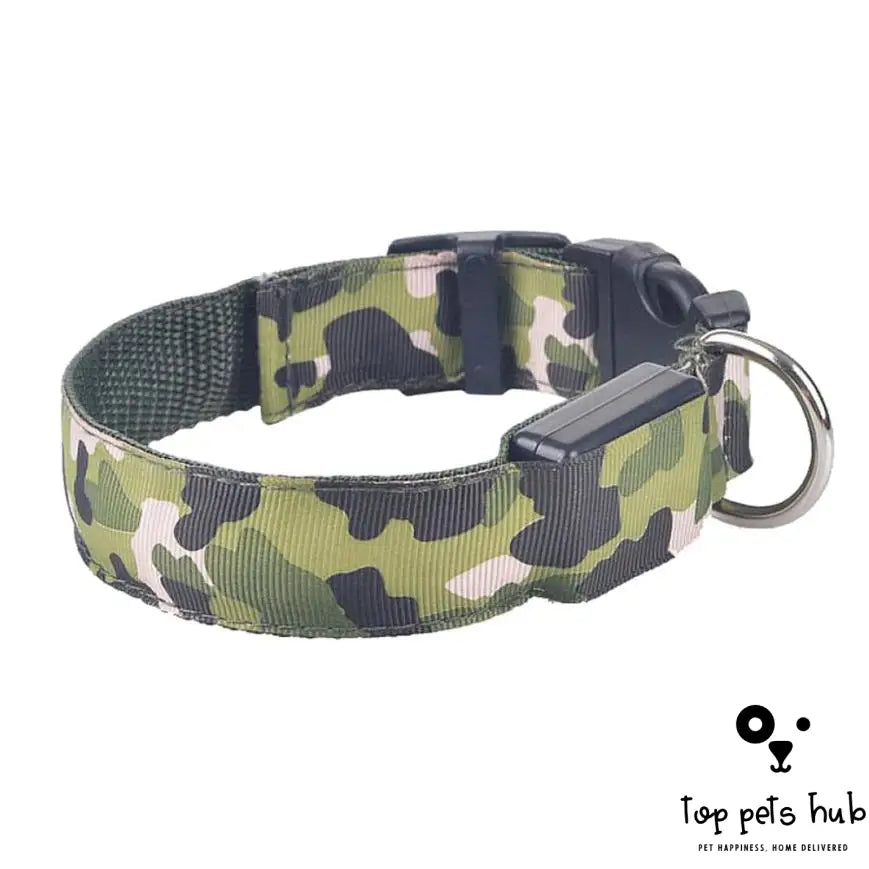 StealthyPaws Camouflage Luminous Dog Collar