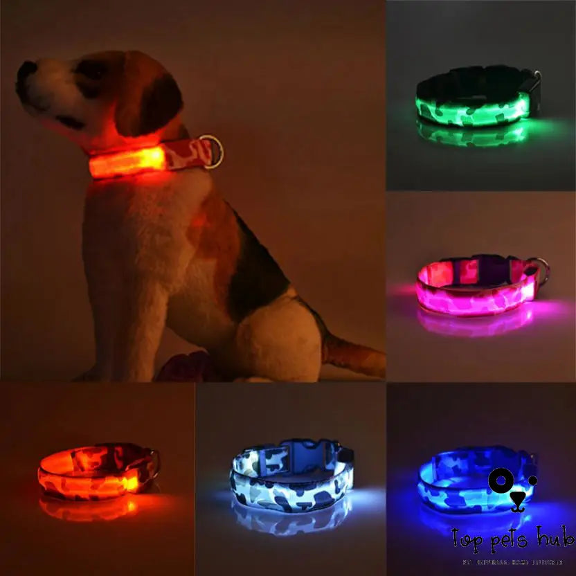 StealthyPaws Camouflage Luminous Dog Collar