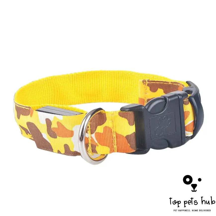 StealthyPaws Camouflage Luminous Dog Collar