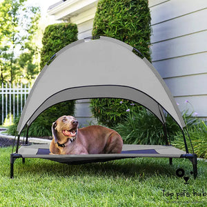 Outdoor Covered Loft Bed Camp Tent for Pets