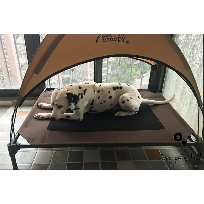 DuraRest Moisture-Proof Dog Bed