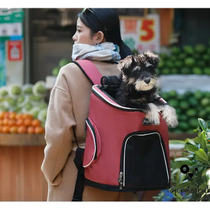 Pet Backpack